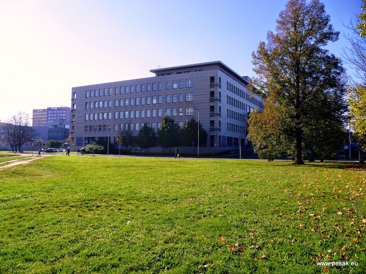 Ostrava, krajský protidrogový koordinátor Moravskoslezského kraje - foto 6