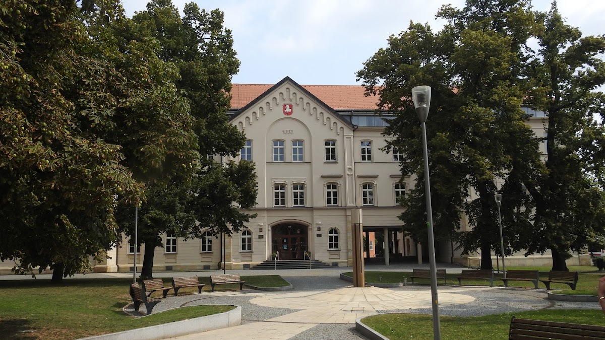 Pardubice, Krajský školský koordinátor prevence - foto 7