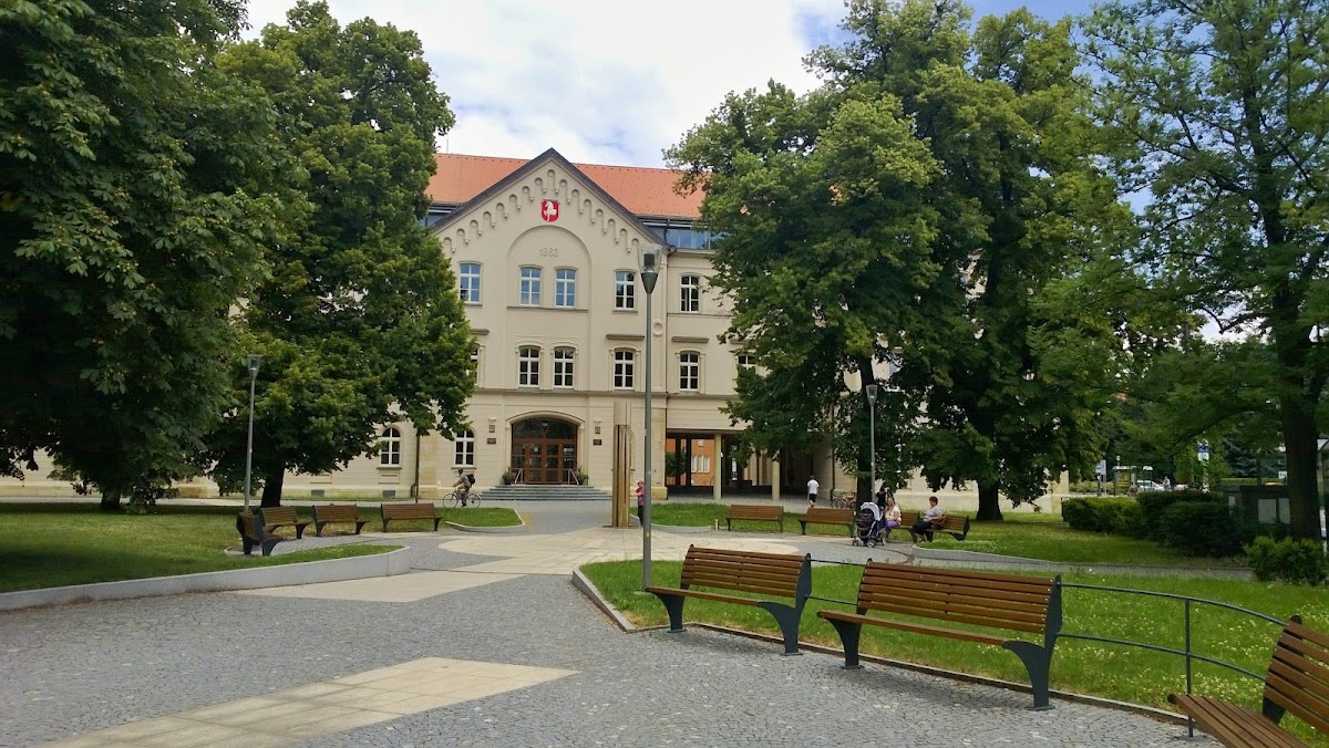 Pardubice, Krajský školský koordinátor prevence - foto 8