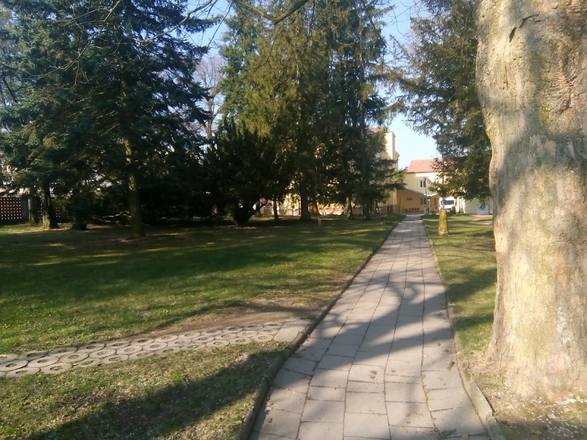 PATEB s.r.o., Psychiatrická léčebna Jemnice - foto 10