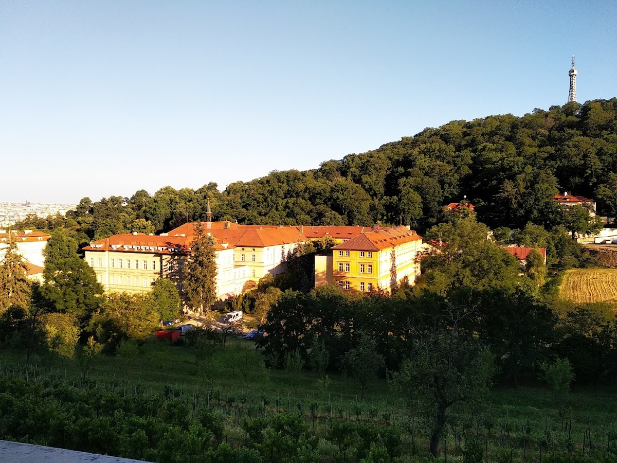 Praha 1, Dětské a dorostové detoxifikační centrum, Nemocnice Milosrdných sester K. Boromejského (Pod Petřínem) - foto 2