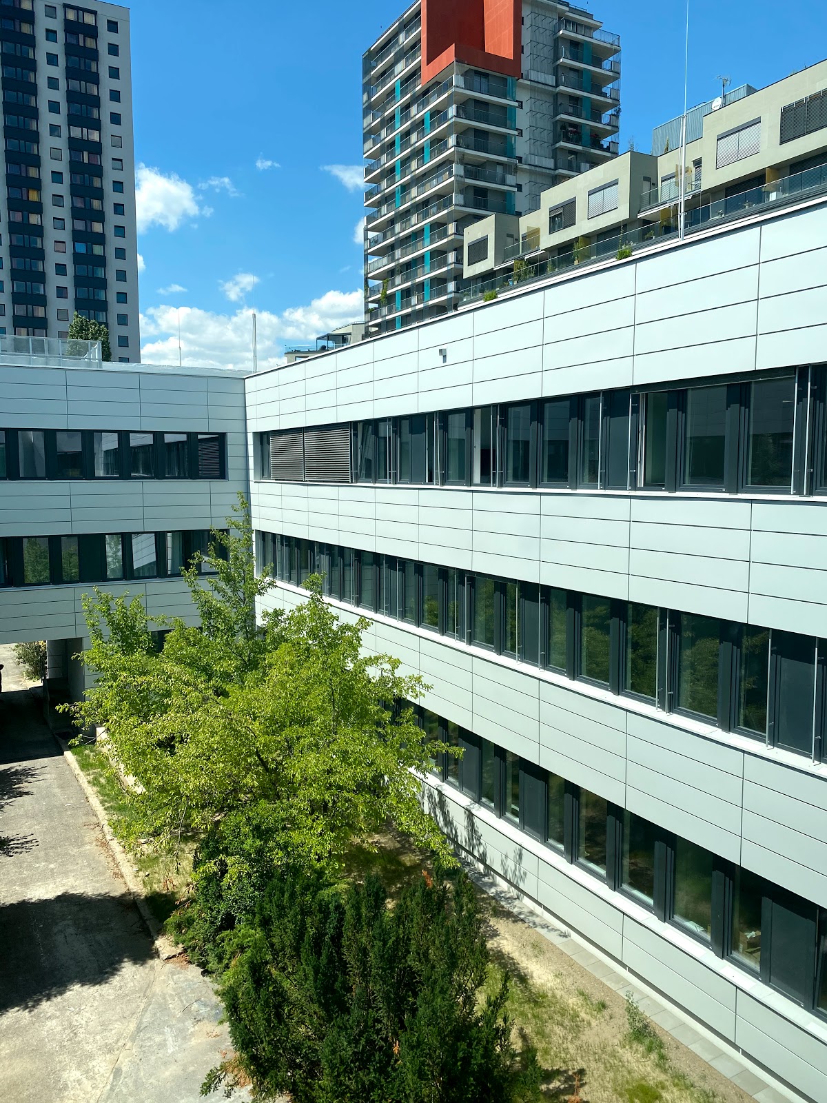 Praha 10, Plicní oddělení - foto 6