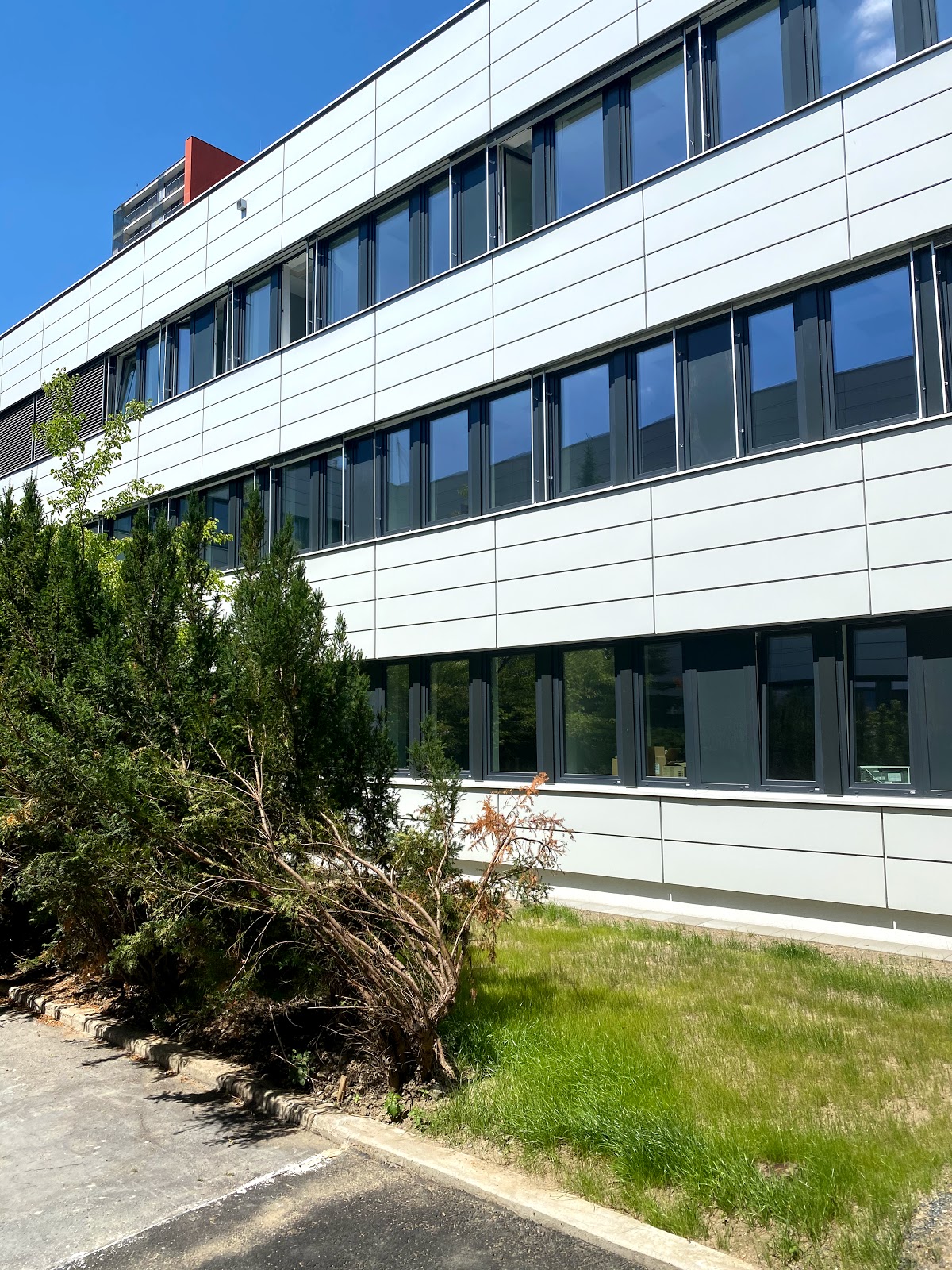 Praha 10, Plicní oddělení - foto 7