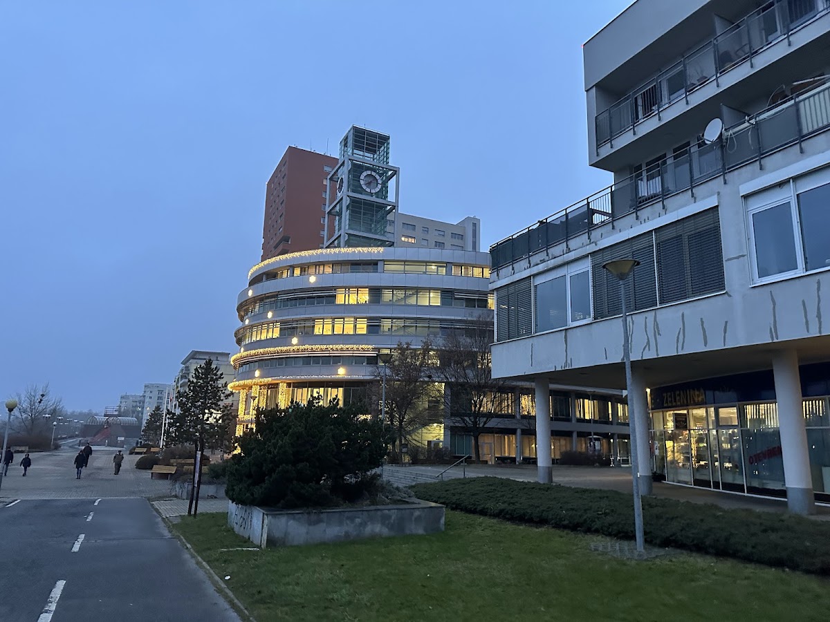 Praha 13 - Stodůlky, Místní protidrogový koordinátor - foto 6