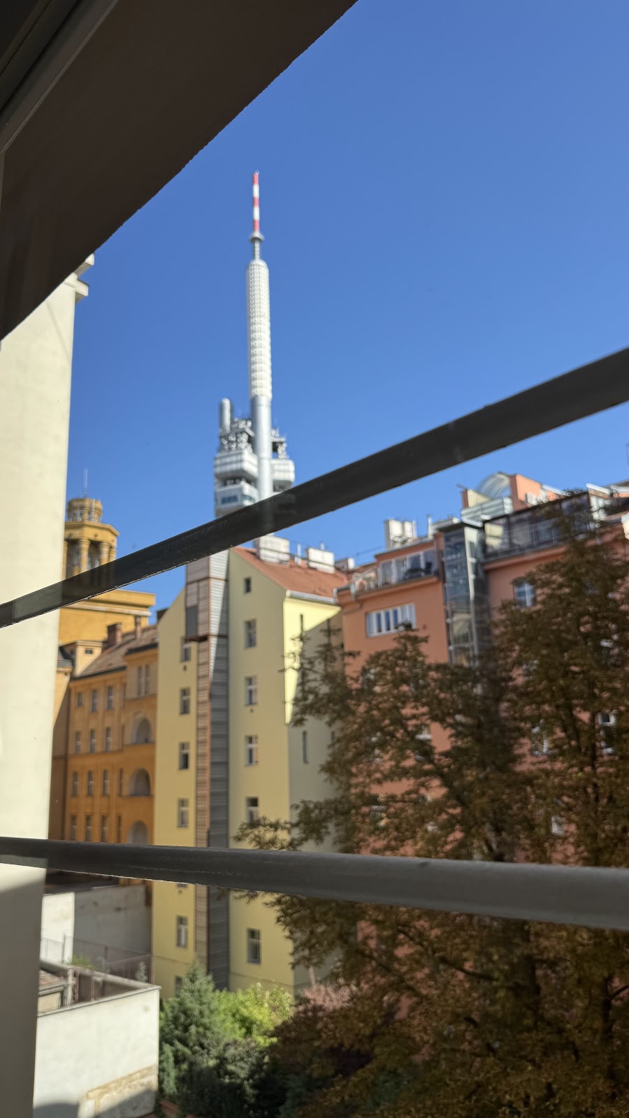 Praha 3, Ambulanční centrum pro choroby plicní - foto 10