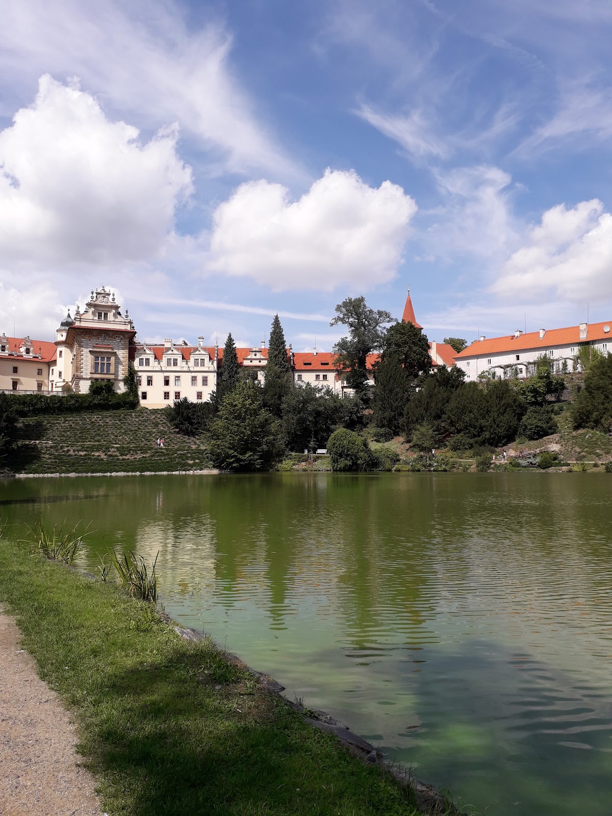 Praha 3, Místní protidrogový koordinátor - foto 10