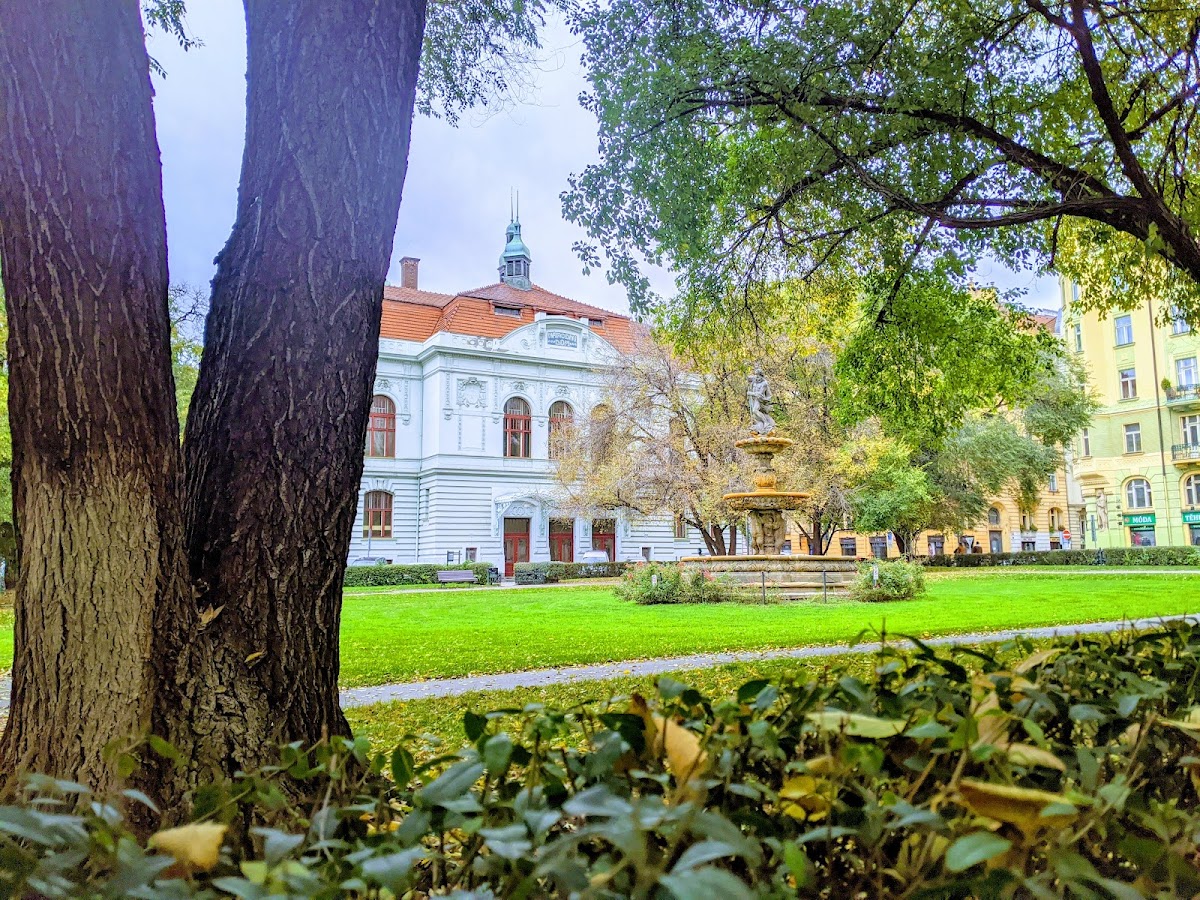 Praha 5, Místní protidrogový koordinátor - foto 2