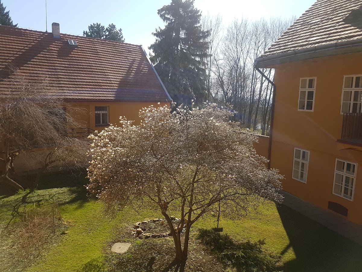 Praha 6, Denní sanatorium - foto 6