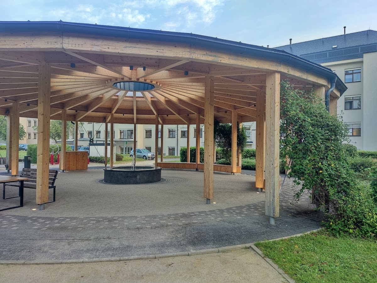 Praha 6, Interní klinika Ústřední vojenské nemocnice - Vojenské fakultní n. Praha a 1. lékařské fakulty Univerzity Karlovy - foto 5