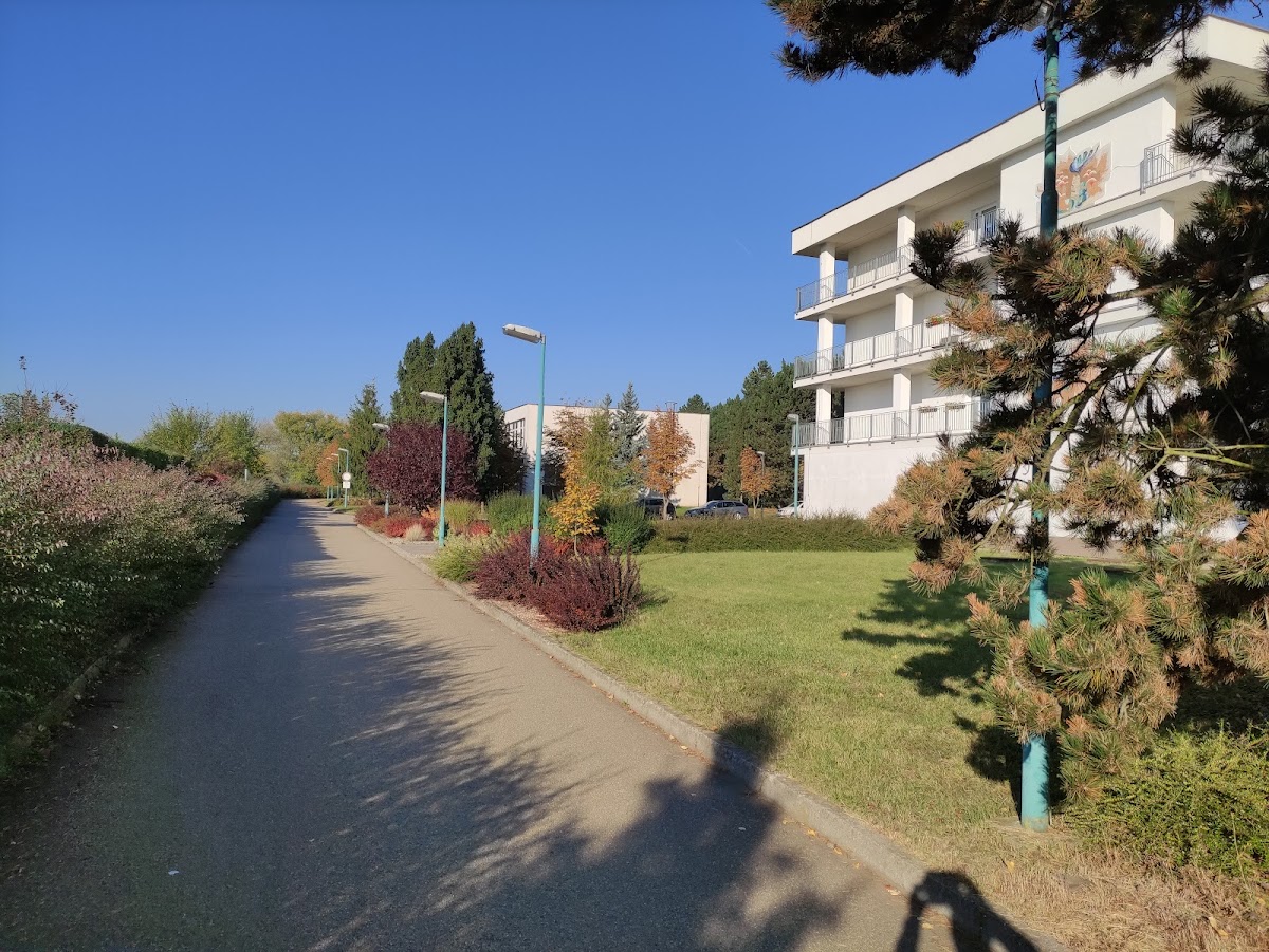 Prostějov, Plicní ambulance, Protikuřácká poradna - foto 5