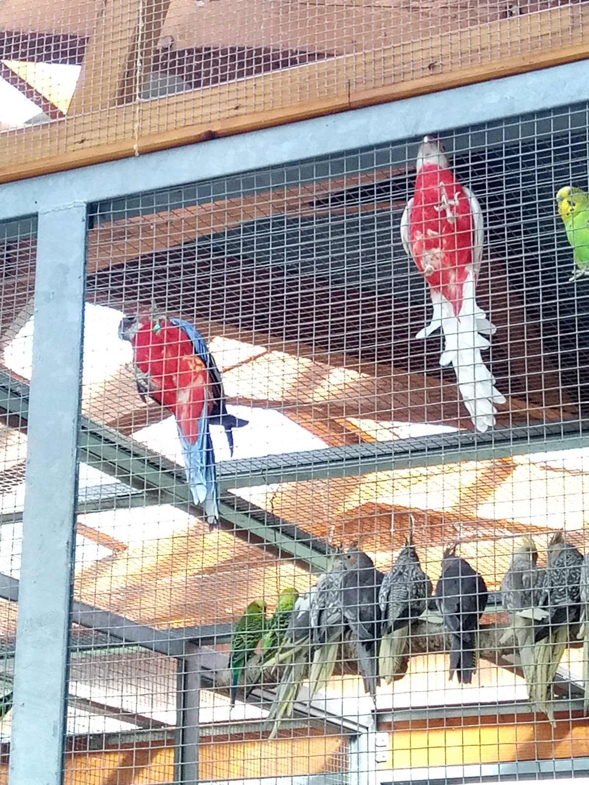 Psychiatrická léčebna Šternberk - foto 10