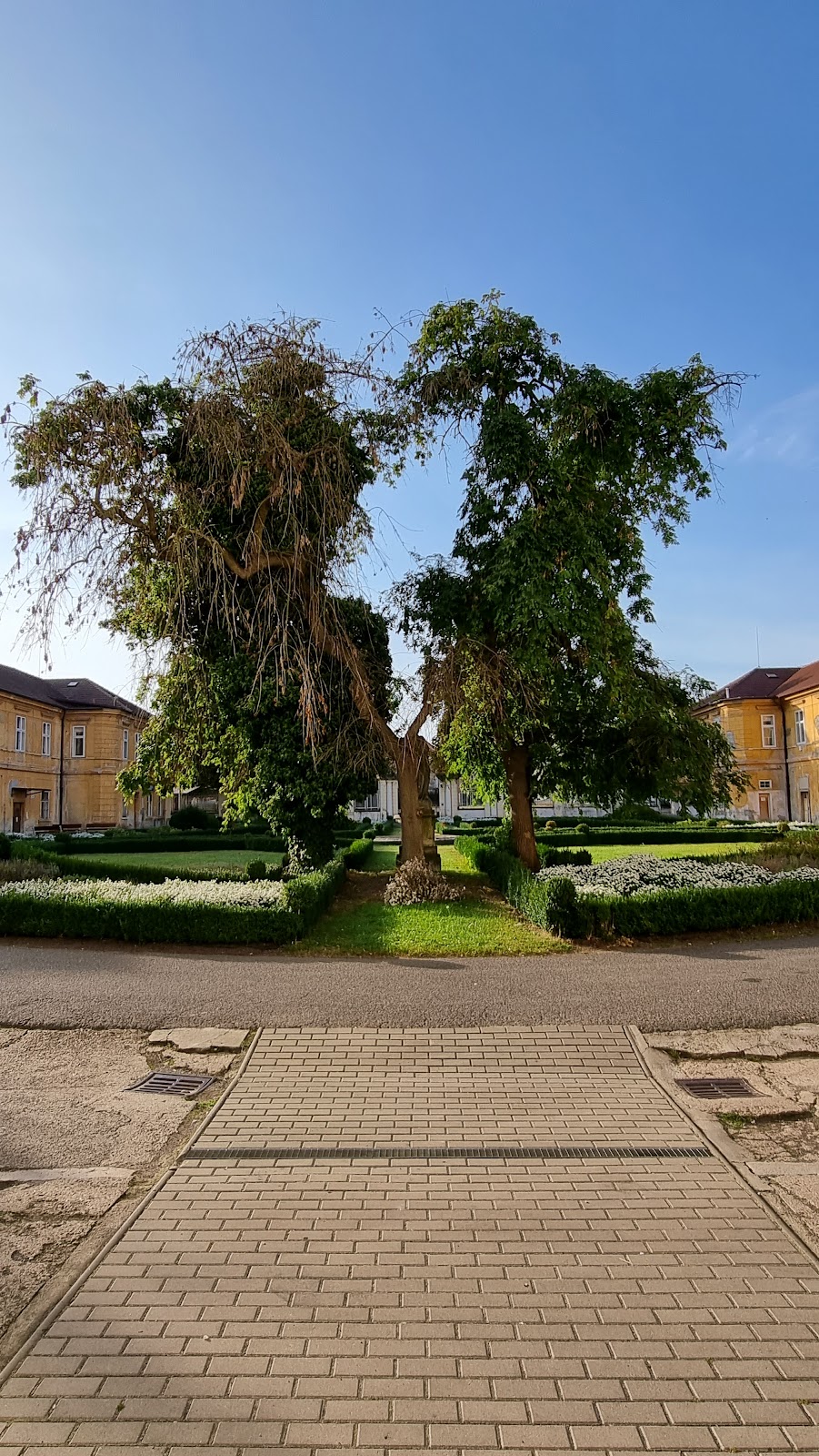 Psychiatrická nemocnice Horní Beřkovice - foto 8