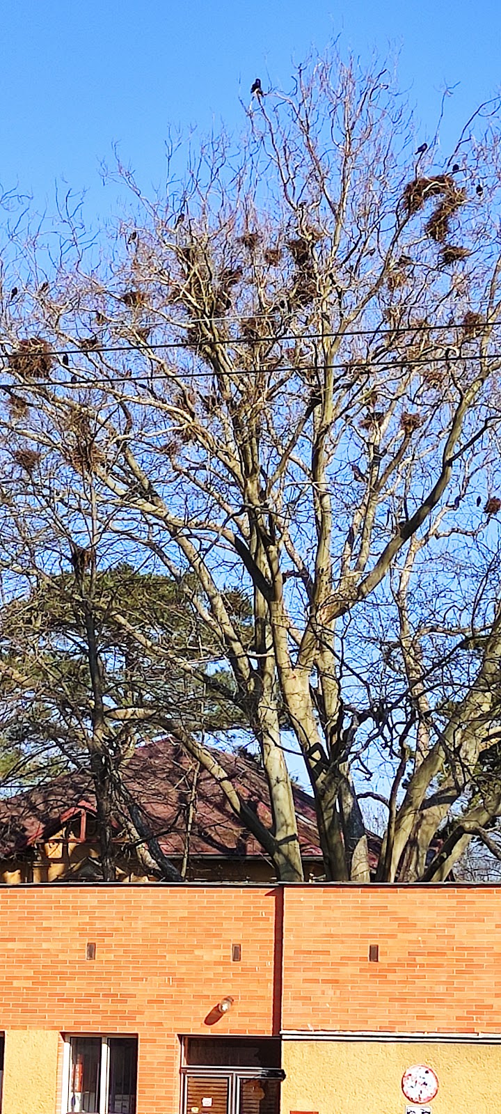 Služba následné péče Psychiatrické nemocnice v Opavě - foto 6