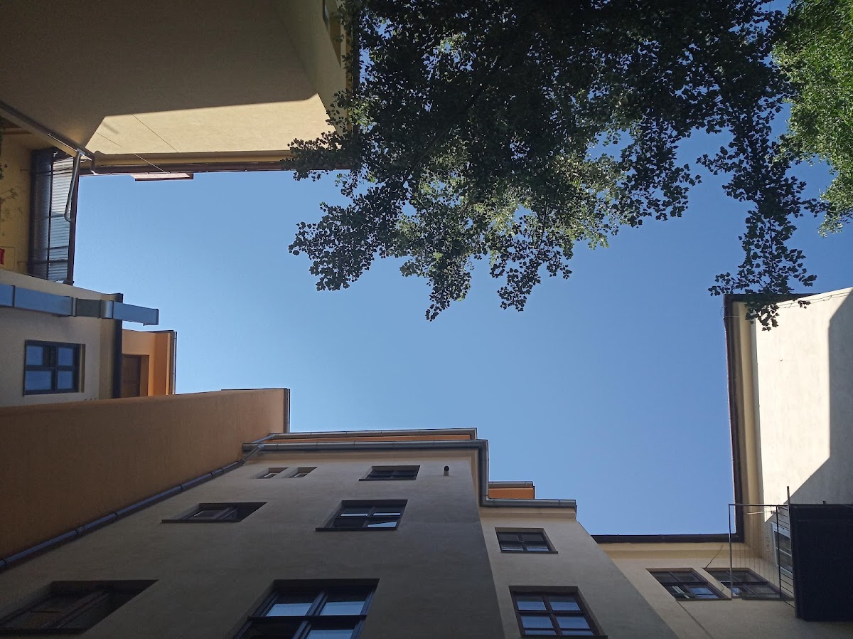 Společnost Podané ruce - foto 3