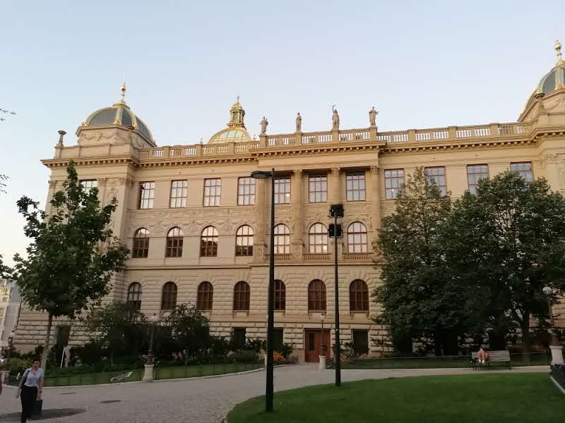 Terénní program Progressive - foto 2