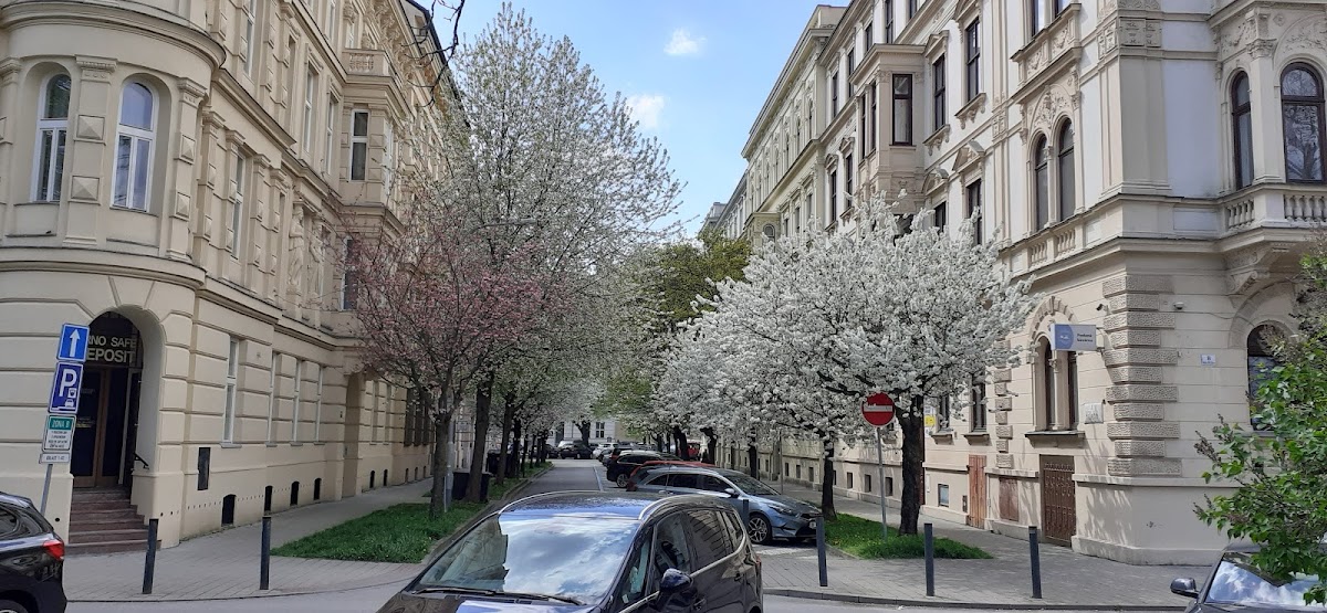 Terénní programy KOMPAS - Brno-střed-Černá Pole