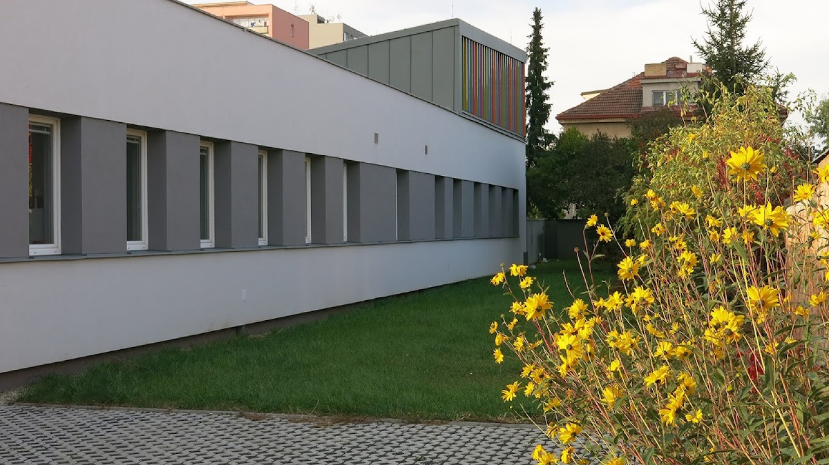 Webová poradna - foto 2