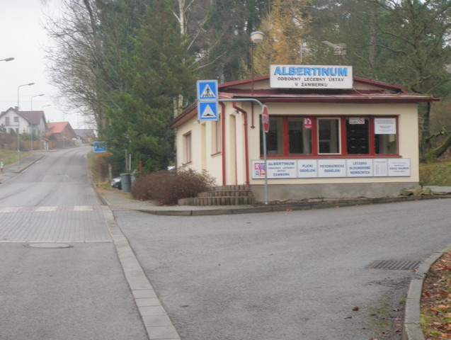 Žamberk, Psychiatrie - foto 8