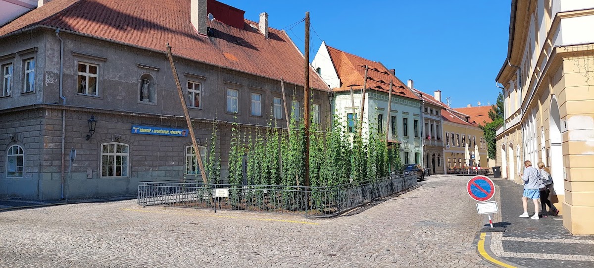 Žatecký spolek Handicap z. s. - foto 1